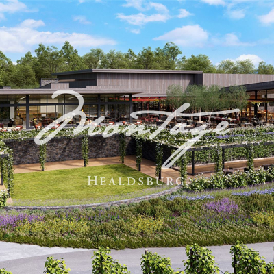 MONTAGE_HEALDSBURG.png